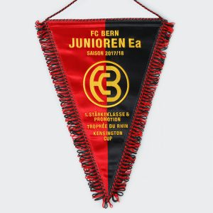 FC BERN 1894 WIMPEL